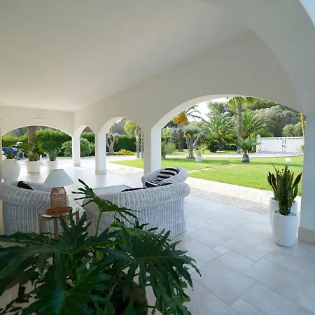 Garden *